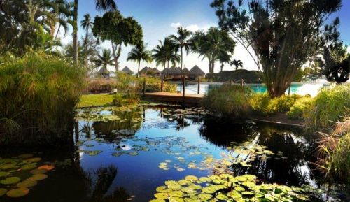 papeete le meridien - GARDEN (LM PPT)