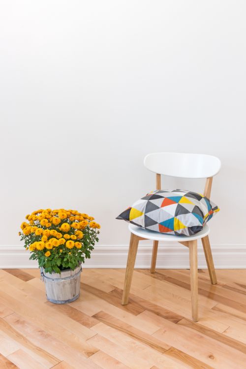 decoração_almofadas_cores_icasei