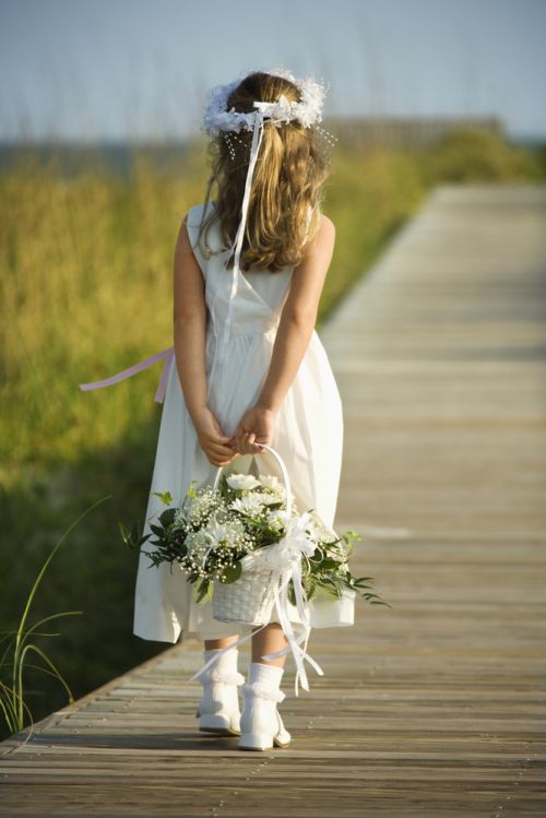 shutterstock_45138484