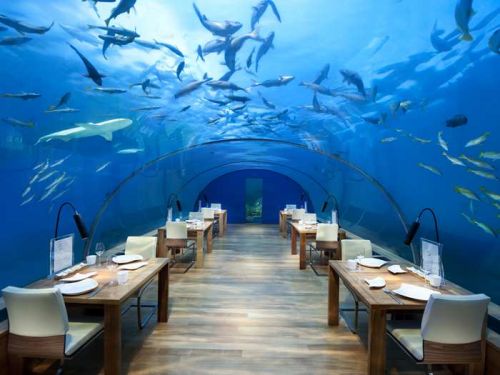 Ilhas Maldivas restaurante