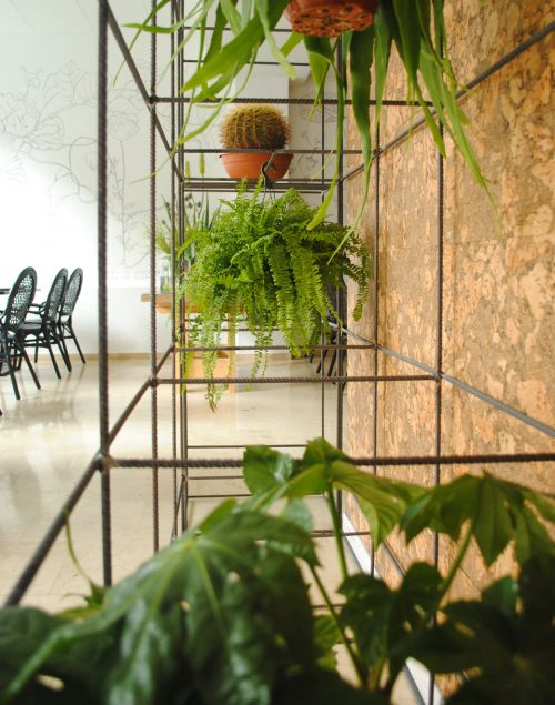 jardim_vertical_em_estantes