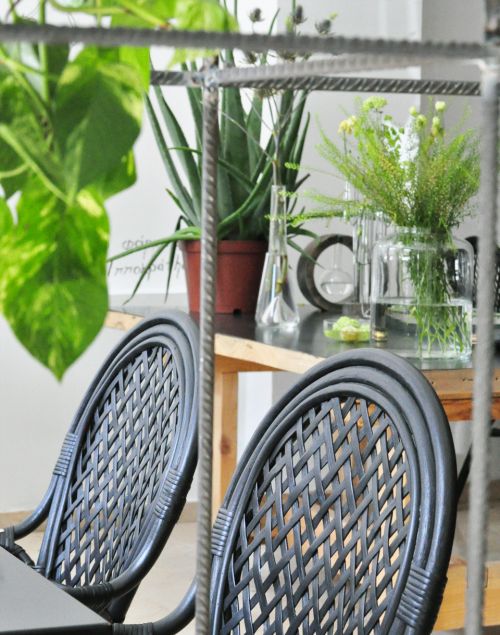 decorar_com_plantas