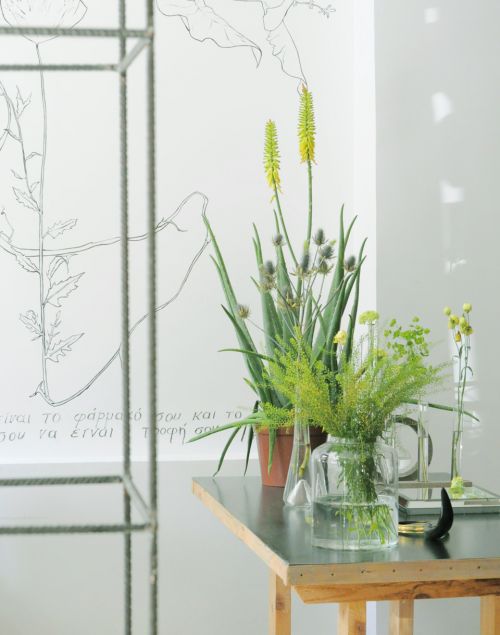 mesa_decorada_com_plantas