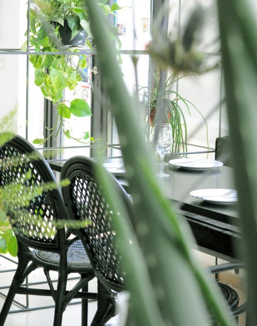 restaurante_decorado_com_plantas