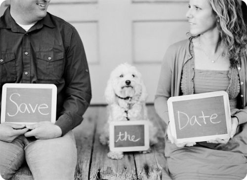 save-the-date-criativo