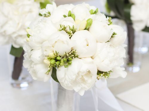 shutterstock_107173634