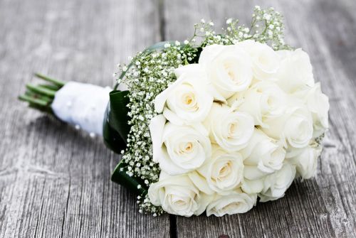 shutterstock_82075315