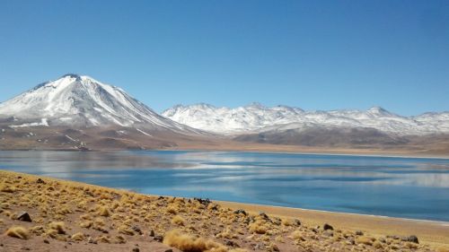 lagunas-altiplanicas-atacama