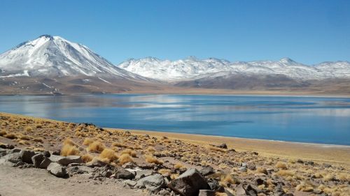 lagunas-altiplanicas-atacama