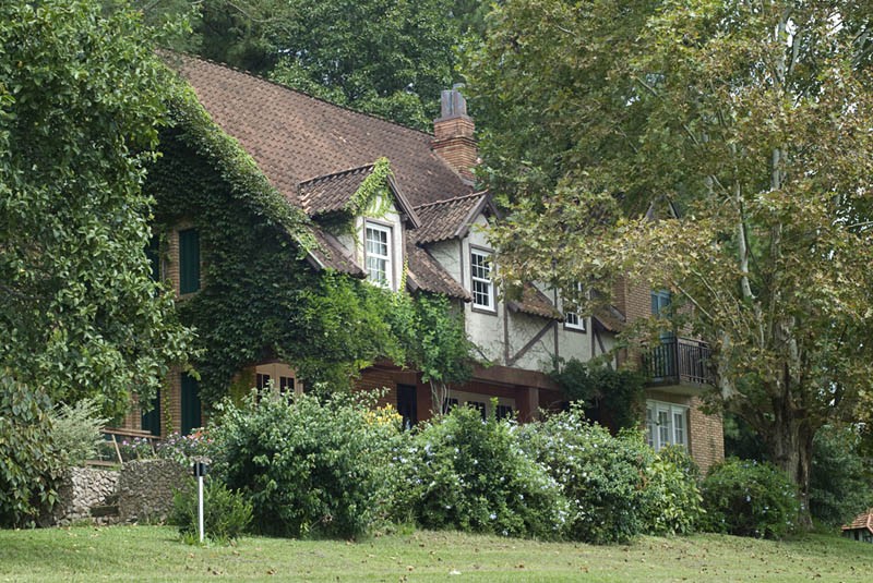 Vinicola-Laurentia