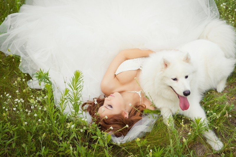 cachorro em casamento - pets no Grande Dia (4)