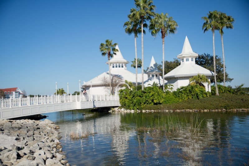 casamento na Disney (14)