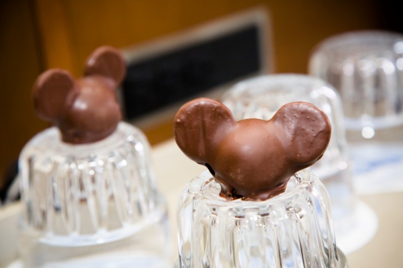 casamento na Disney (26)