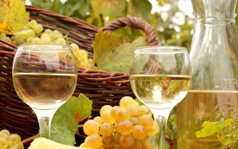 produção vinho para casamento - revista icasei