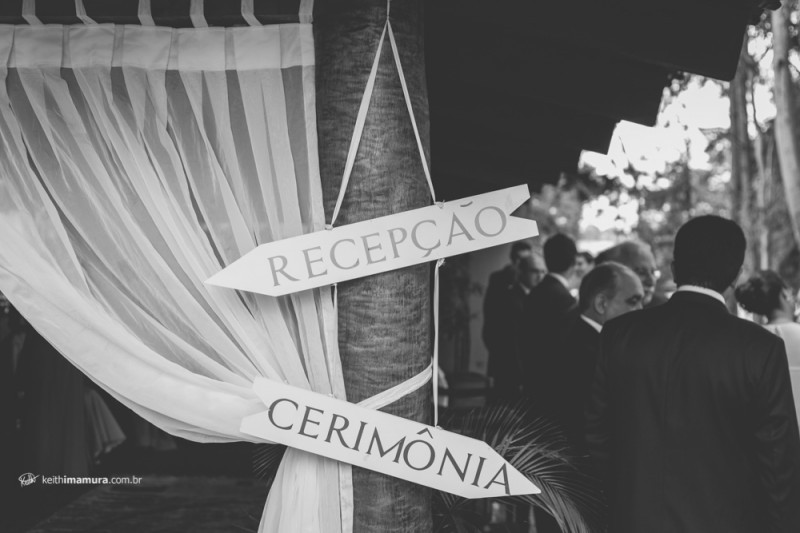 revista icasei 