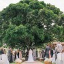 10-Melhores-locais-para-casamento-em-Recife-Celeiro