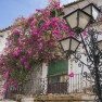Primavera em Fiesta de Los Patios - Córdoba