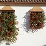 Fiesta de Los Patios - Córdoba