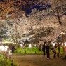 Lua de mel em Kyoto