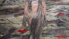 Fashion Weeks tendências 2017 noiva e madrinhas metalizado