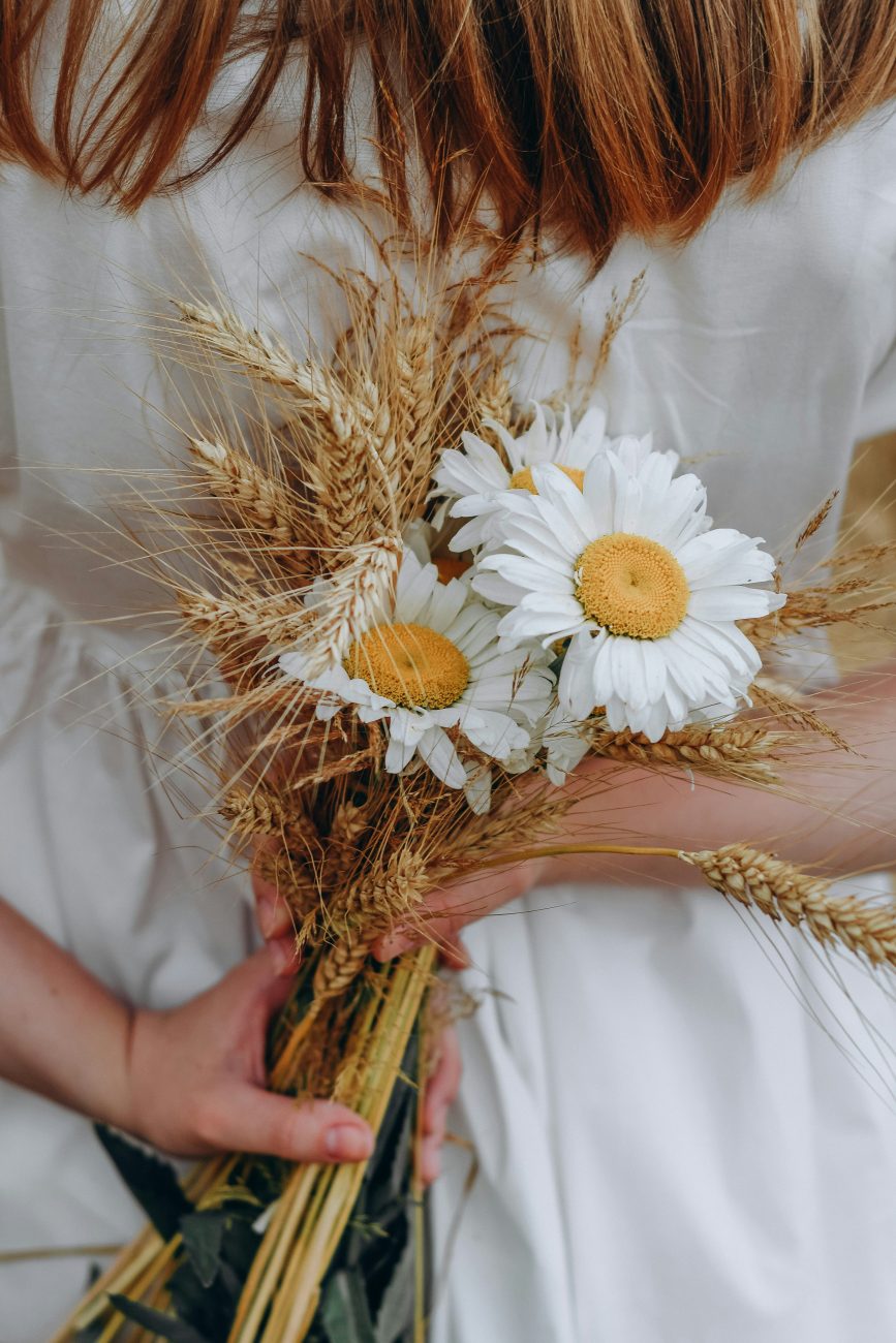 buquê de flores de margaridas e flores do campo