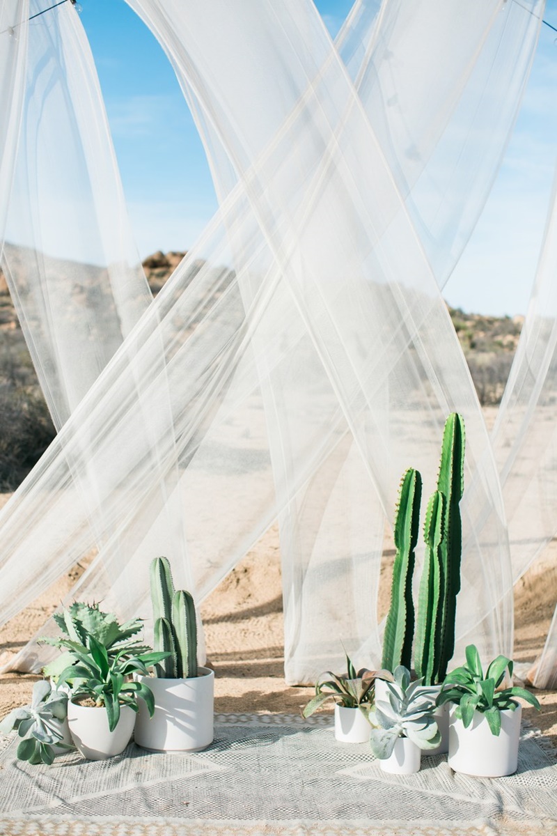 Decoração de casamento com cactos