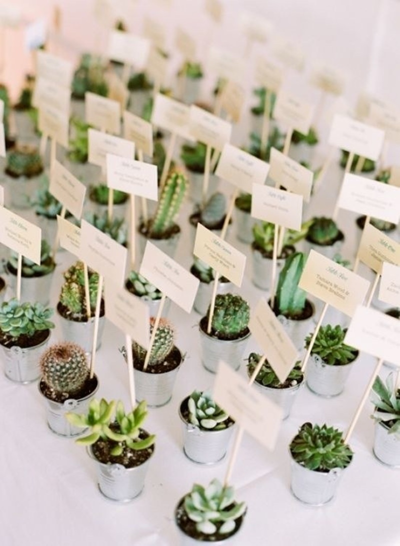 Decoração de casamento com cactos