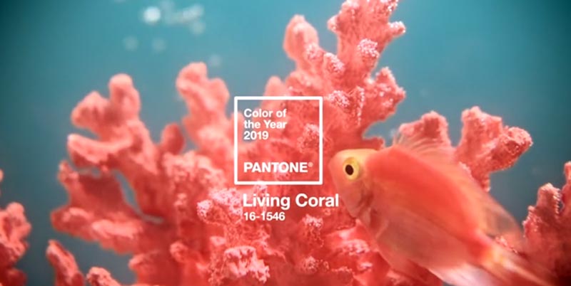 cor do ano 2019 Pantone