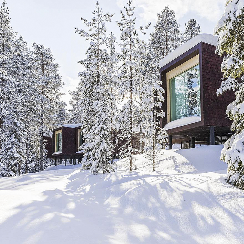 Lua de Mel para quem gosta de frio 5 reprodução Artic TreeHouse Hotel