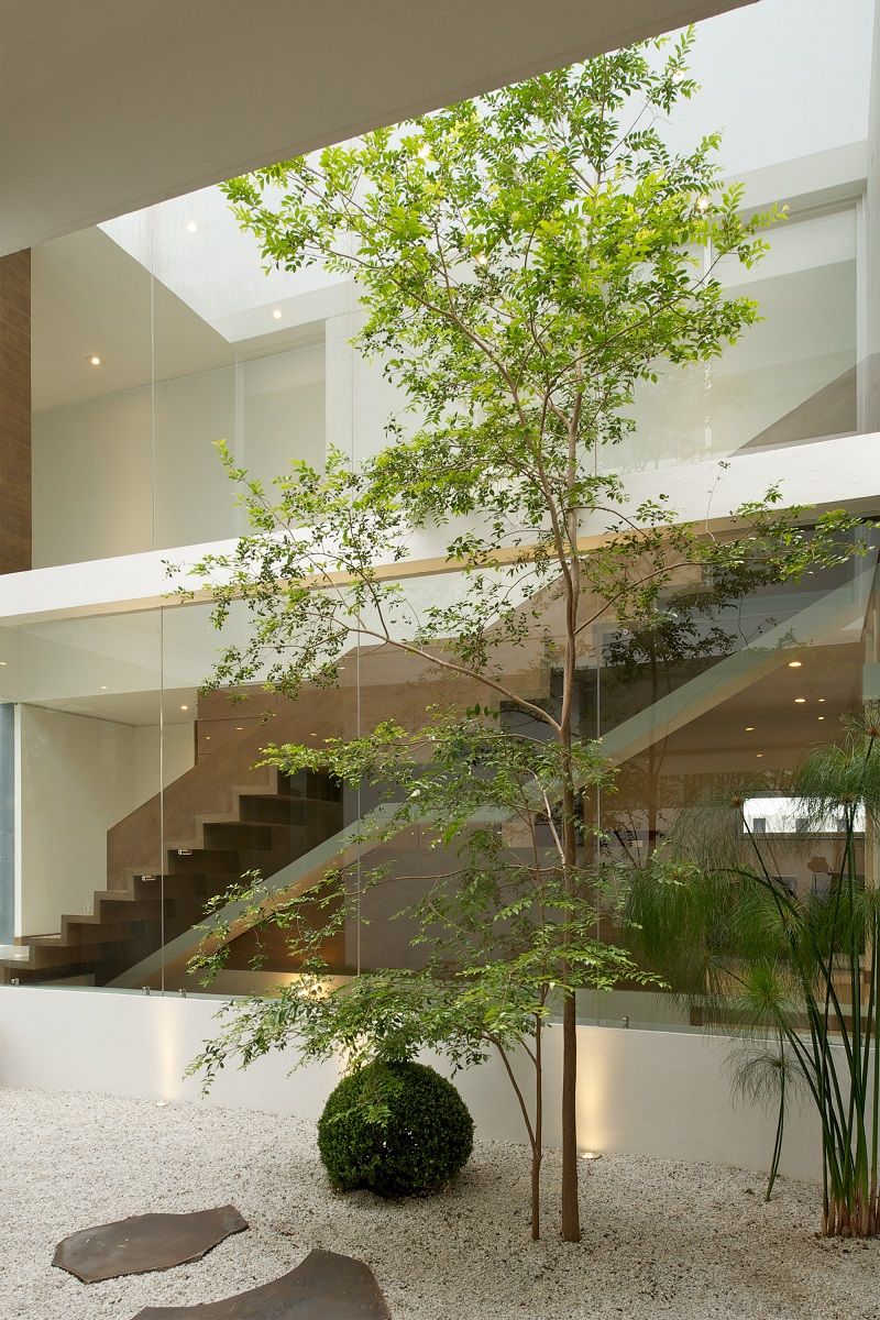 jardim de inverno