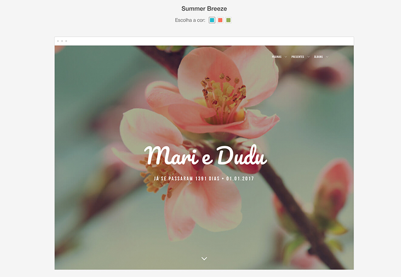 layouts icasei