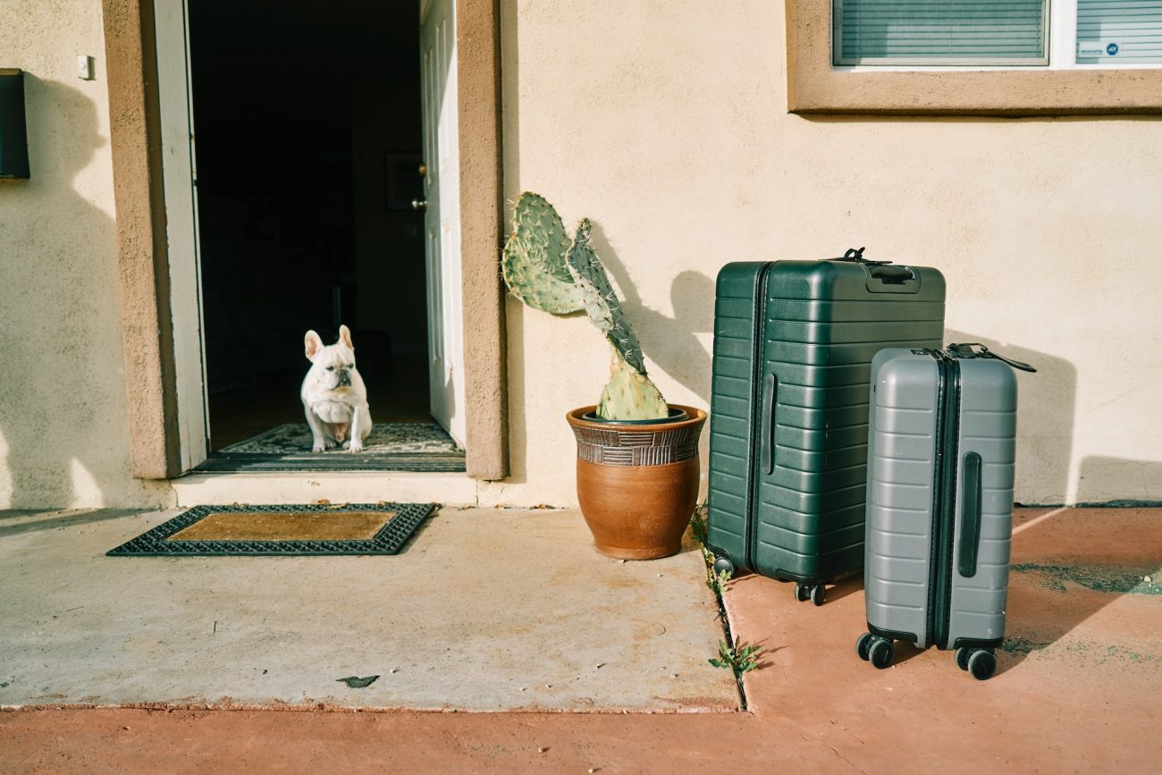 Malas prontas para viajar