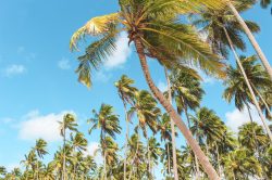 Confira os top 20 destinos para passar a lua de mel no Brasil