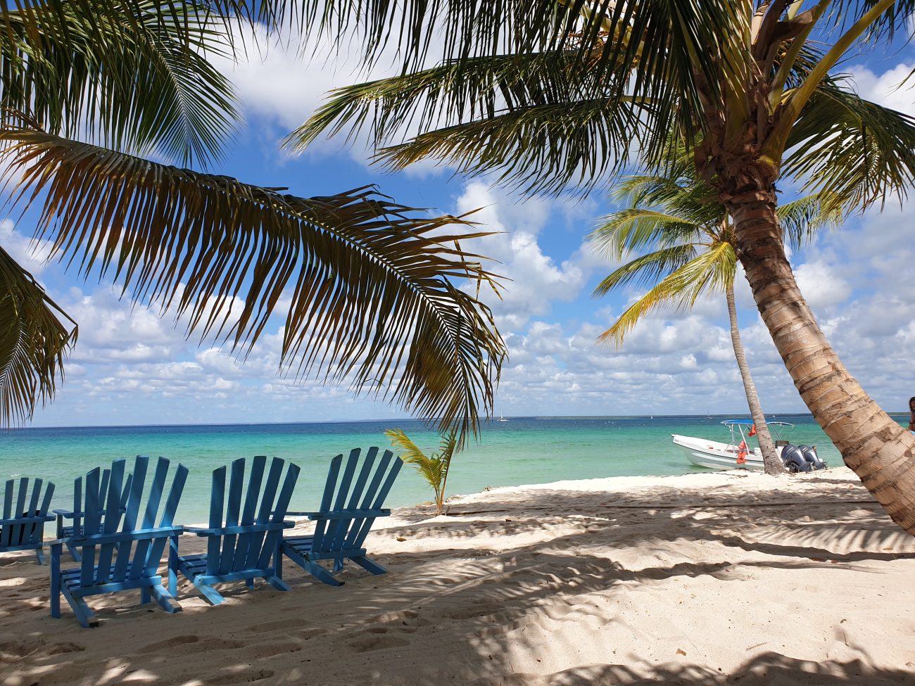 Isla Saona: ilha localizada próxima a Punta Cana