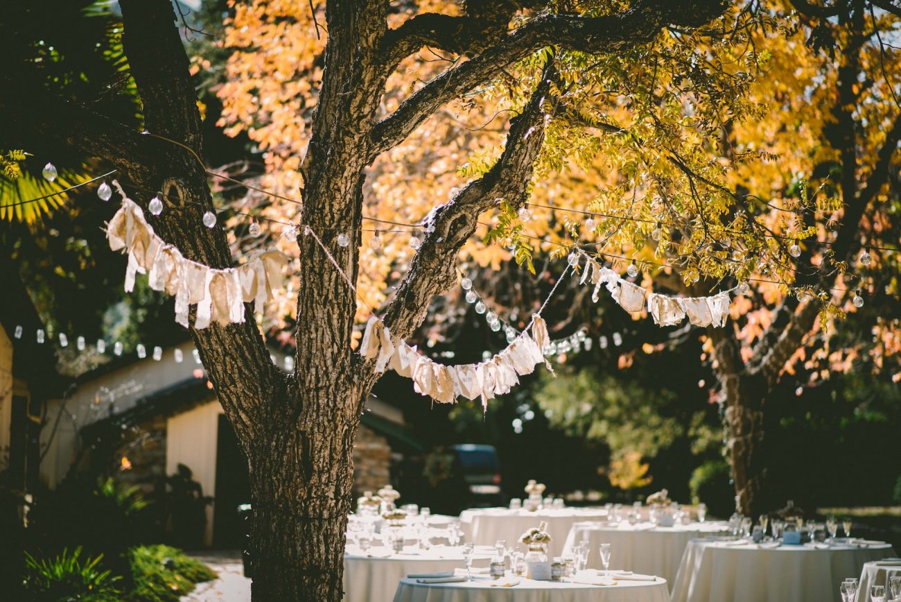 Decoração de um casamento em campo com árvores laranjas decoradas