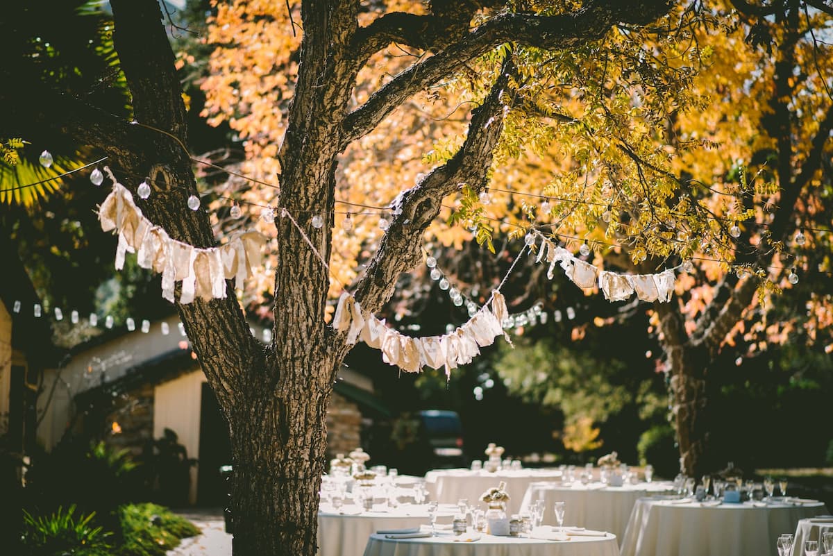 Imagem de um jardim decorado para uma festa à noite