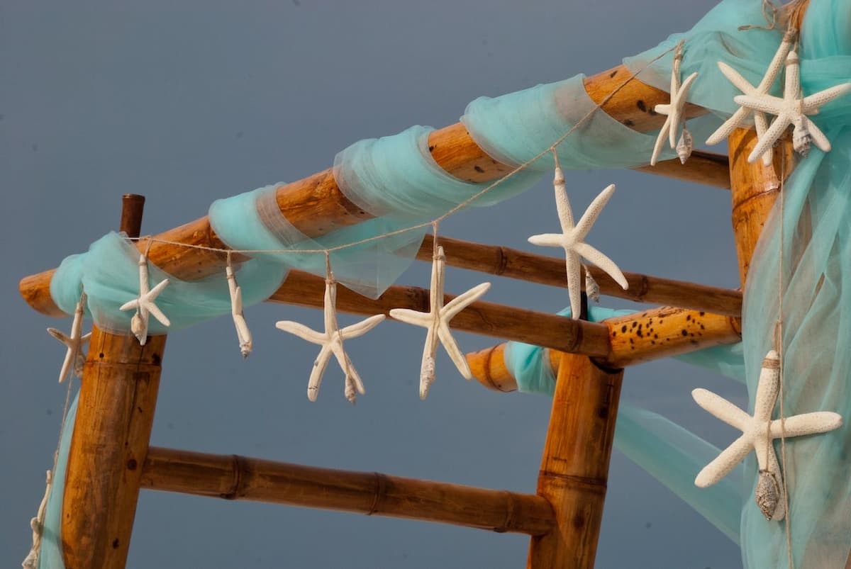 Imagem de decoração de estrelas do mar em casamento