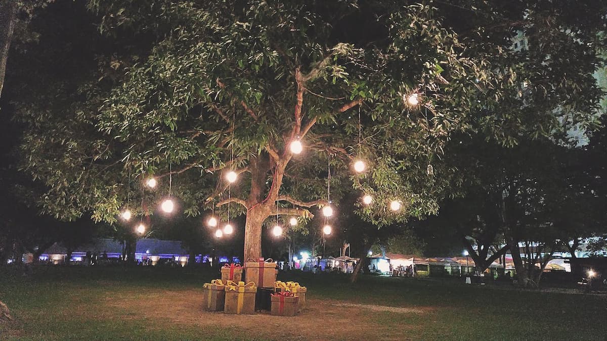 Imagem de um jardim iluminando com presentes na árvores