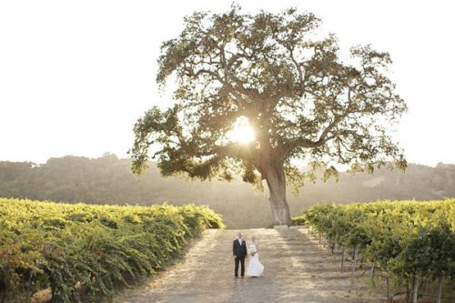 34-Laura-Murray-Hammersky-California-Wedding-Photography