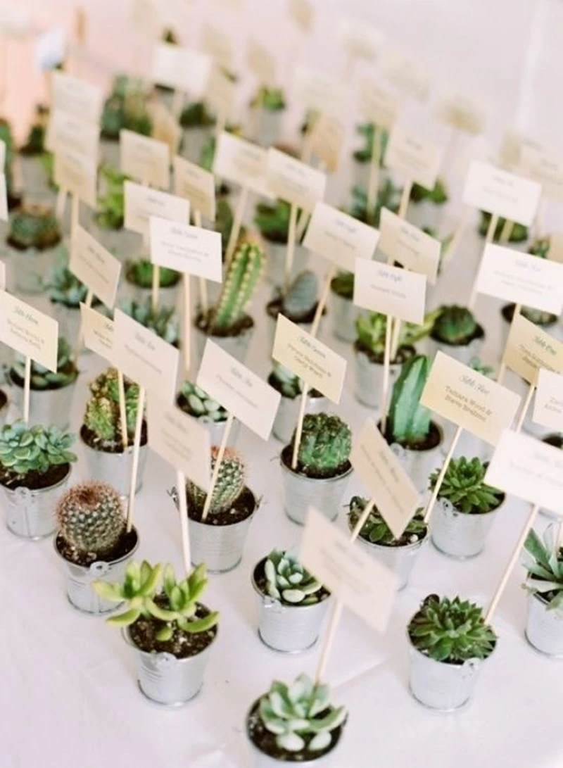 Decoração de casamento com cactos