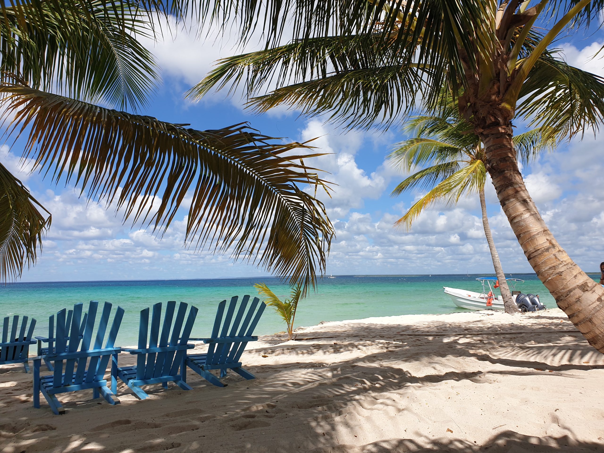 Isla Saona: ilha localizada próxima a Punta Cana